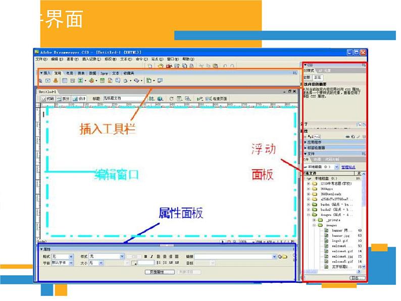 桂科版八年级下册信息技术 2.1制作网站首页  课件第5页