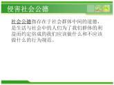人教（蒙教版）七下信息技术 1.1.4因特网对社会的影响 课件