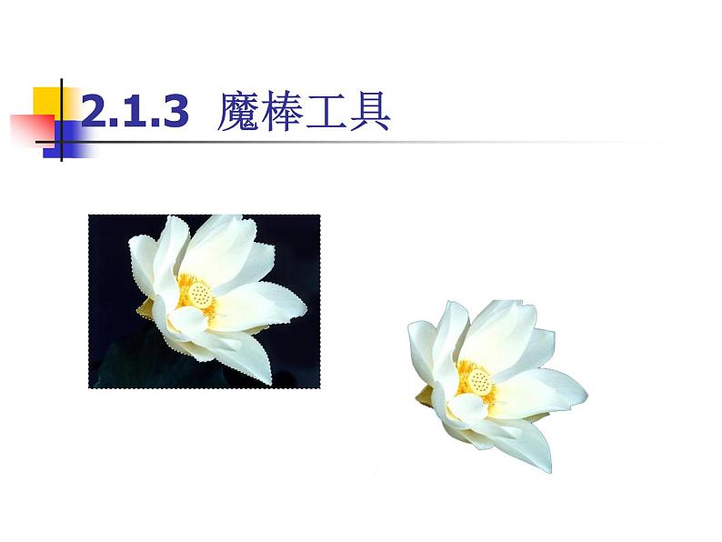 桂科版七年级下册信息技术 3.2建立选区 课件08