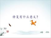 桂科版七年级下册信息技术 4.2修补图像 课件