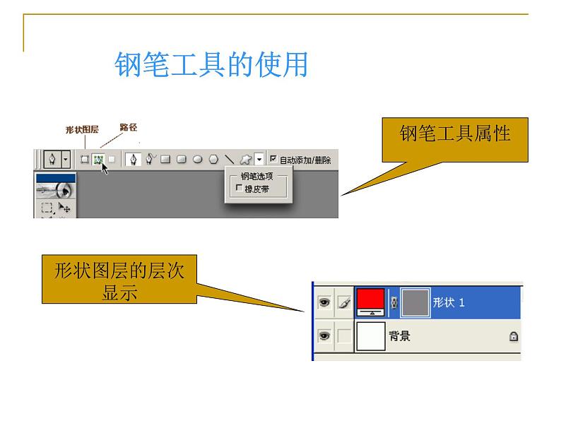 冀教版七年级全册信息技术 18.认识Photoshop中的路径 课件04