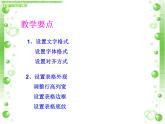 科学版七下信息技术 4.3美化修饰小账本 课件