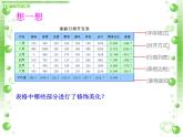 科学版七下信息技术 4.3美化修饰小账本 课件
