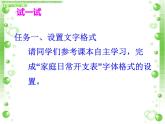 科学版七下信息技术 4.3美化修饰小账本 课件