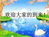 人教（蒙教版）八下信息技术 2.4.1制作形状补间动画 课件