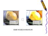 冀教版七年级全册信息技术 19.调整图像色彩色调 课件