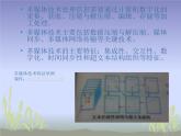 冀教版七年级全册信息技术 6.多媒体与多媒体技术 课件