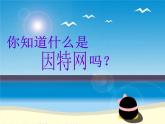 冀教版七年级全册信息技术 5.访问因特网 课件