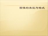 苏科版（2018）七年级全册信息技术 6.1.4图片分类及格式 课件