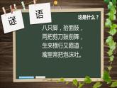 苏科版（2018）八年级全册信息技术 1.2.2用计算机制作逐帧动画 课件