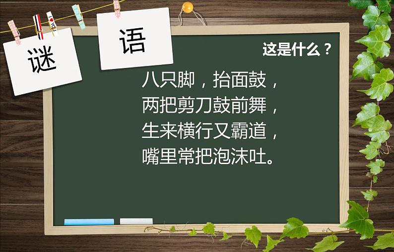 苏科版（2018）八年级全册信息技术 1.2.2用计算机制作逐帧动画 课件02