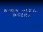 冀教版七年级全册信息技术 15.分类汇总与数据透视表 课件