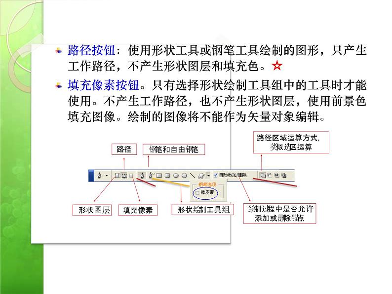 冀教版七年级全册信息技术 18.认识Photoshop中的路径 课件07