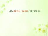 苏科版（2018）七年级全册信息技术 1.2信息获取与管理 课件