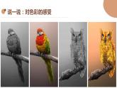 闽教版信息技术八年级上册 第3课 调节平面设计素材色彩 课件PPT