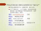 人教（蒙教版）七下信息技术 1.2 IP地址与域名 课件