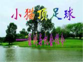 大连版七年级下册信息技术 9.小猫顶足球--侦测与机会指令 课件