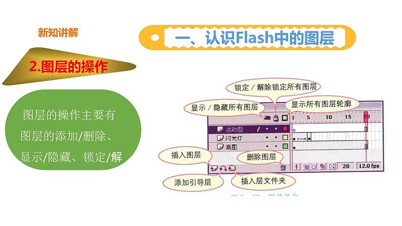 粤教版B信息技术八年级上册2-4魅力图层让动画更精彩第5页