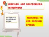 粤高教版信息技术七上 4.6 综合活动 采集数据做研究 课件PPT
