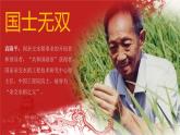初中 初二 信息技术 让素材富有感染力 教学 课件