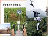 苏科版信息技术八上2.1.6人工智能课件