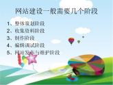 苏科版信息技术八上3.1.2收集与处理素材_课件