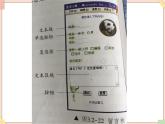 苏科版信息技术八上3.2.8制作交互网页 课件
