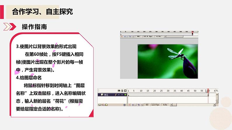 河大版第二单元第四节《图层的使用》课件+教案06