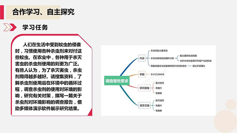 河大版第四单元第一节《杀虫剂的功过是非》课件+教案+评价表04