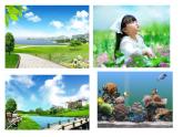 大连版七上信息技术 10.旅行手札封面——综合运用Photoshop知识 课件PPT