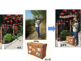 大连版七上信息技术 10.旅行手札封面——综合运用Photoshop知识 课件PPT
