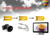大连版七上信息技术 3.图像文件探秘--图像文件概述 课件PPT