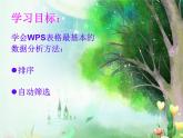 大连版八上信息技术 12.我喜欢的图书--排序与自动筛选 课件PPT