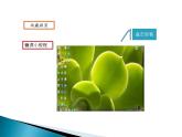 七上信息技术 第二单元 活动2 拓展我的视野 课件PPT+教案+素材