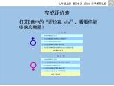 七上信息技术 第四单元 活动3 乐享探亲之旅 课件PPT+教案