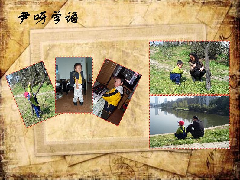 科学版信息技术七下 第三单元 活动3 多种媒体助表达 课件PPT+教案+素材02