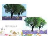 人教版信息技术八上 2.2 剪裁与拼接图像 课件PPT