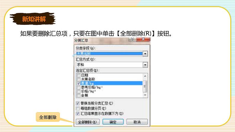 新世纪版信息技术七下 1.8 数据汇总 课件PPT+教案07