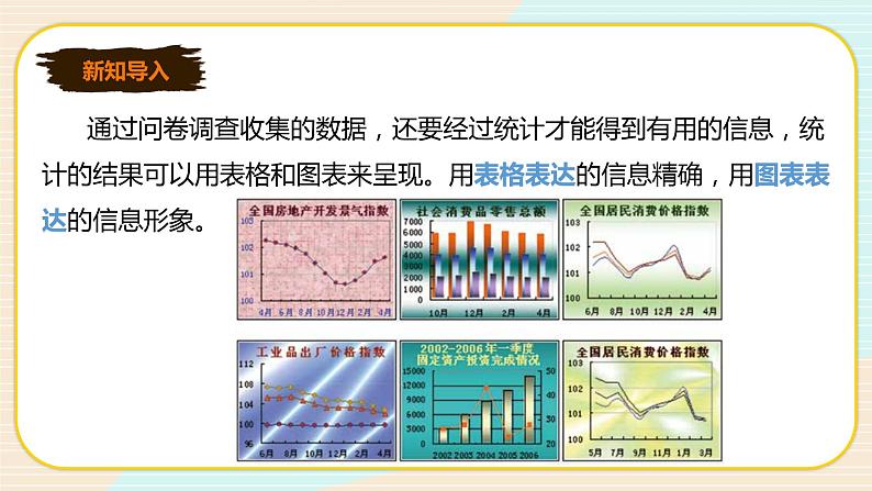 新世纪版信息技术七下 3.2 统计分析数据 课件PPT+教案02