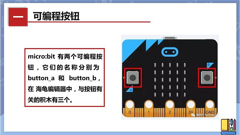 新世纪版八下信息技术 第四课 计数器 课件PPT第3页