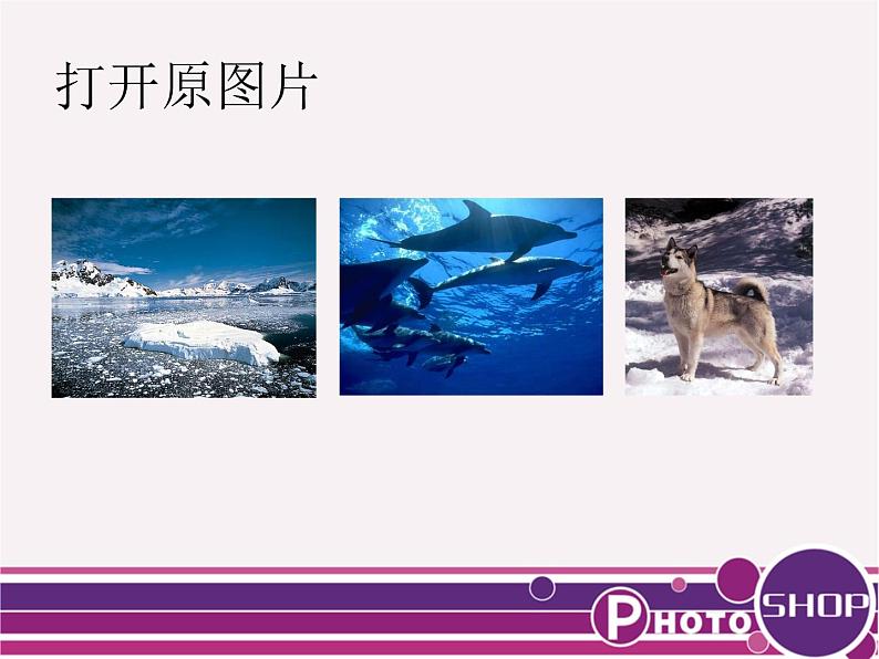 桂科版七年级下册信息技术 4.3应用蒙版 课件第6页