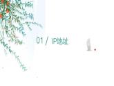 人教2021版（内蒙）1.2. 1《IP地址与域名》课件+教案