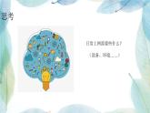 人教2021版（内蒙）1.2.4 《常见网络设备》课件+教案
