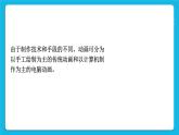 1.2 电脑动画制作初探 课件＋教案
