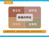 浙教版八年级信息技术上册第一单元走进网络第4课网络安全课件