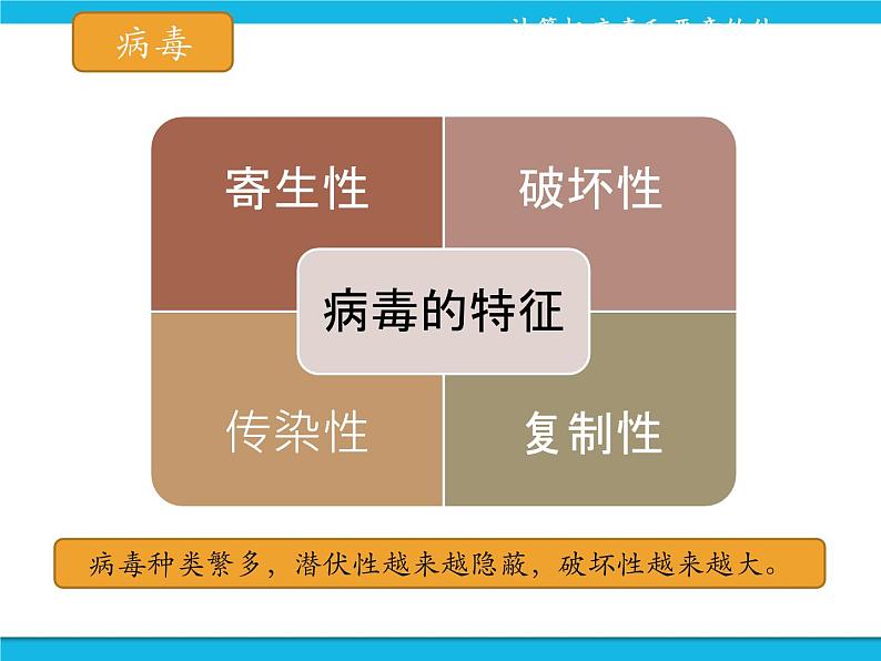 浙教版八年级信息技术上册第一单元走进网络第4课网络安全课件03