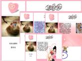浙教版八年级信息技术上册第三单元网站制作第15课设置超链接课件