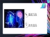 人教2021版（内蒙）2.1《初识人工智能》课件+教案