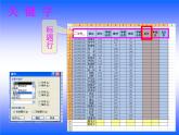 川教版初中信息技术八年级下册《第二节 统计分析数据》课件