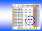 川教版初中信息技术八年级下册《第二节 统计分析数据》课件